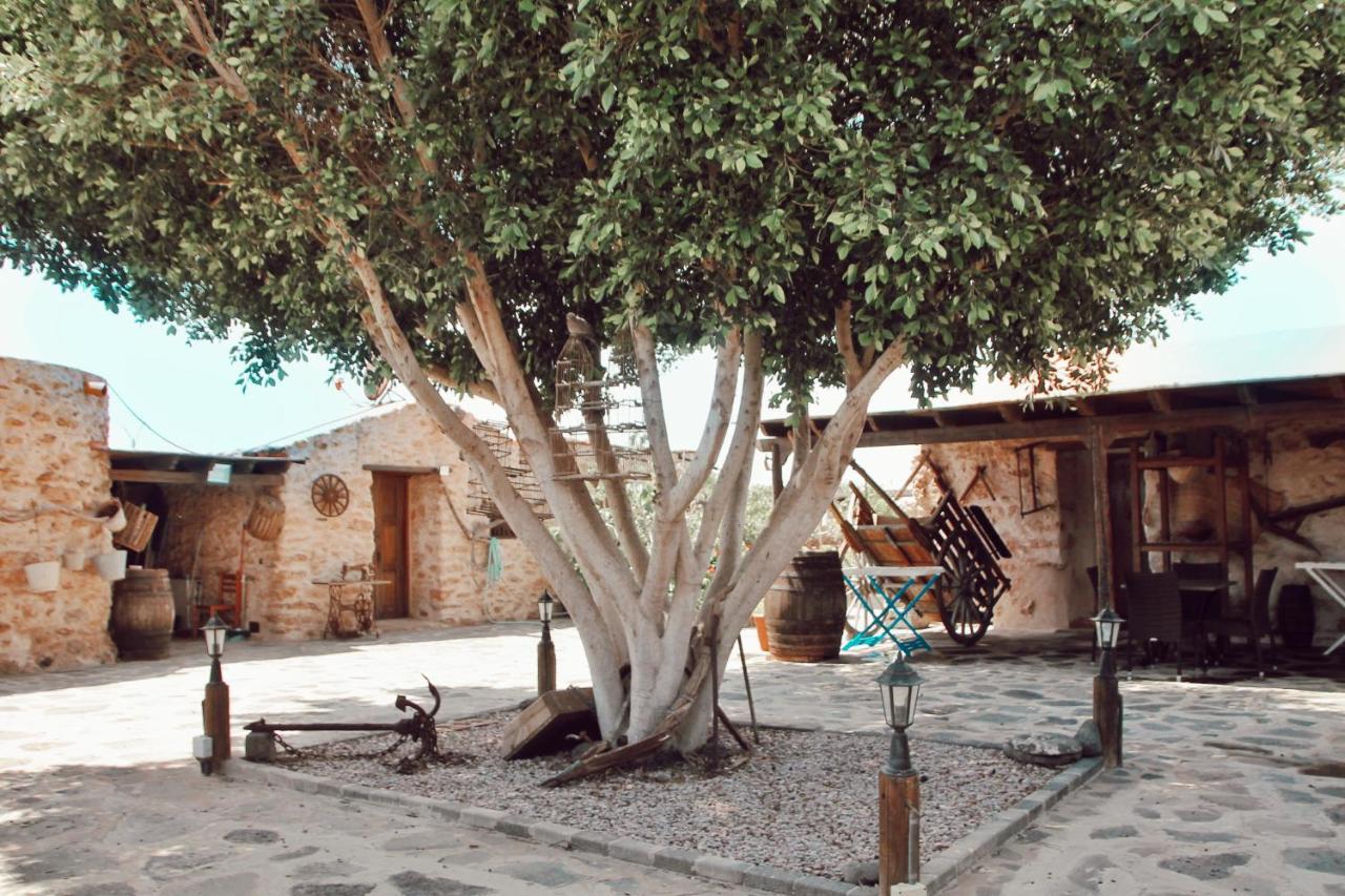 Agroturismo La Gayria Tiscamanita ภายนอก รูปภาพ